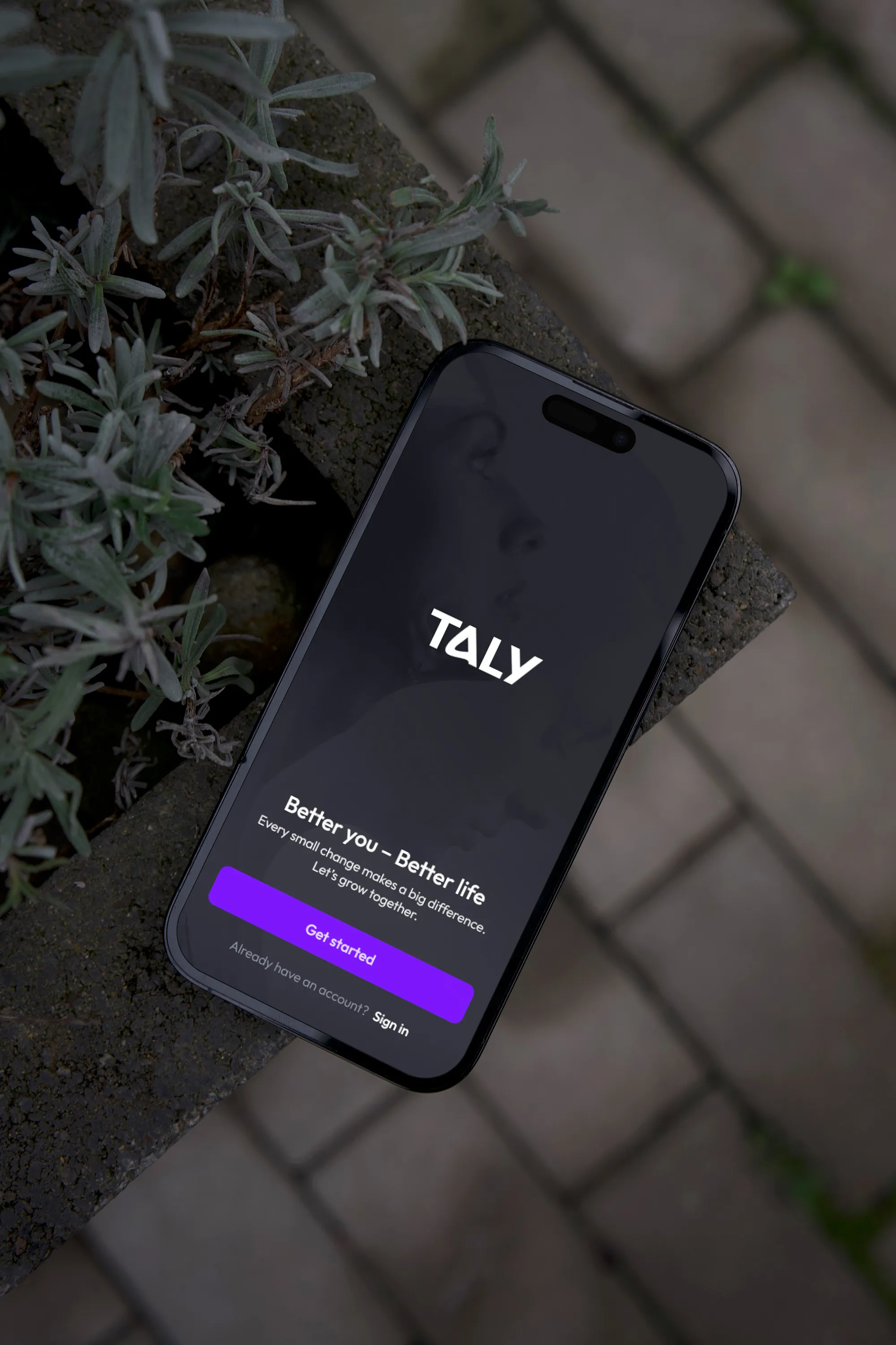 Taly app on mobile